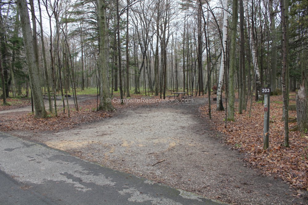 Photo of Campsite 203 in Tennison Bay Campground at Peninsula State